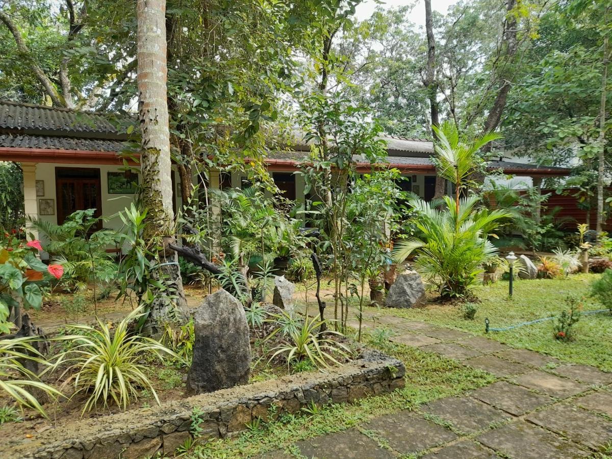 Sigiri Jungle Villa Sigiriya Exterior photo
