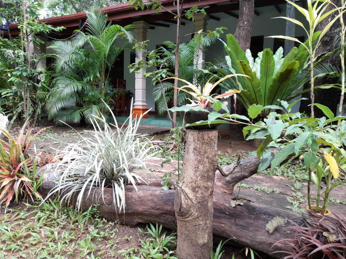 Sigiri Jungle Villa Sigiriya Exterior photo
